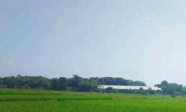 Dijual Cepat Lahan Pertanian Produktif Cilaku Cianjur Jawa Barat