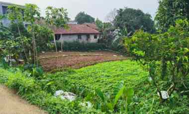 dijual tanah jl kp setu bojong