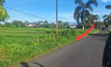 dijual tanah jl krandon wedomartani