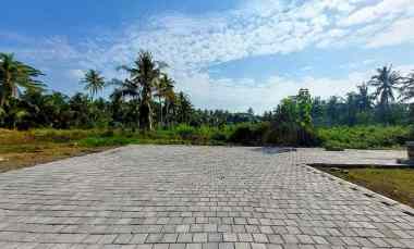 dijual tanah jl kyai ronggo tawangsari