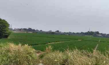 dijual tanah jl lingkar tanjungpura