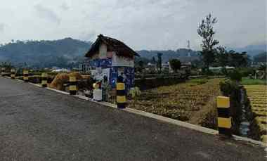 dijual tanah jl metro