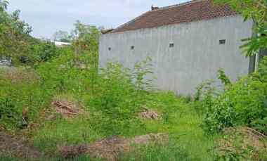 dijual tanah jl palapa poltek