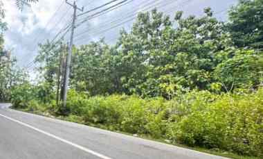 dijual tanah jl pantai balangan