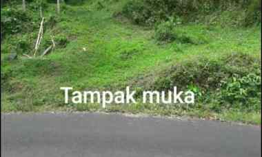 dijual tanah jl parigi desa pasangrahan