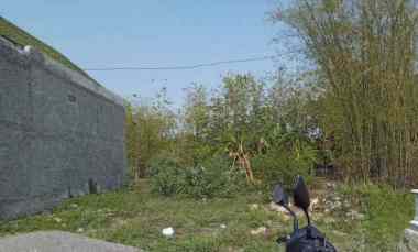 Dijual Tanah Strategis 117 m2 di dekat jl Raya Blora-Purwodadi