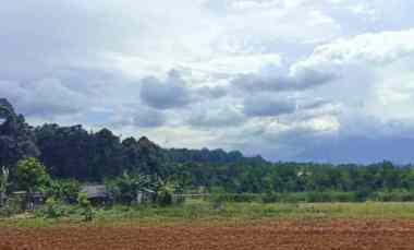 dijual tanah jl raya bojong koneng