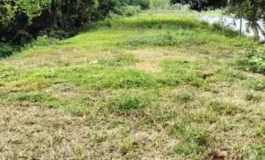 Jual Tanah 930 m2 di Balerejo Madiun dekat SMPN 1 Balerejo