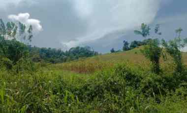 dijual tanah jl raya pindol desa