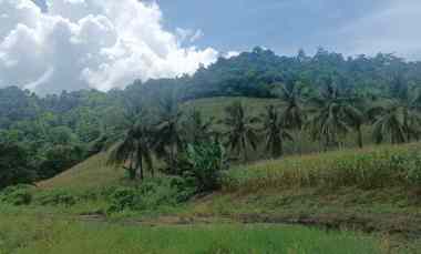 dijual tanah jl raya pindol desa