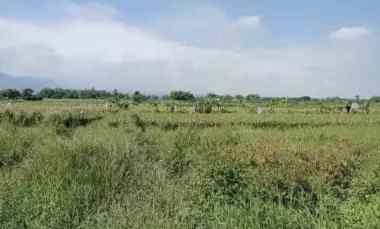 Tanah Dijual di Jl Raya Provinsi Kembang Ringgit, Kembangringgit, Kec. Pungging, Kab. Mojokerto, Jawa Timur