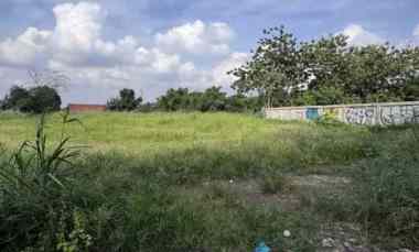dijual tanah jl raya rawabuntu bsd rawa