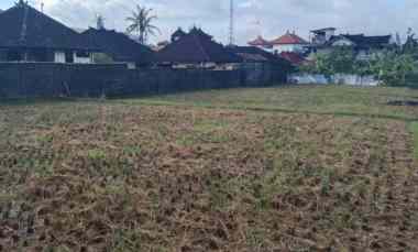 dijual tanah jl raya sempidi