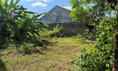 dijual tanah jl raya singaraja