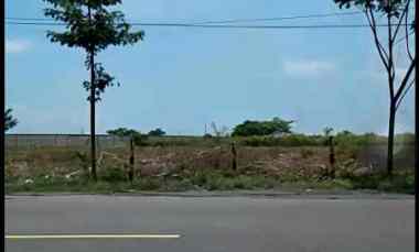 dijual tanah jl raya widang