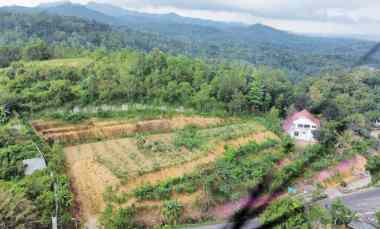 dijual tanah jl raya wonosari km 22