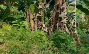 dijual tanah jl sepinggan baru rt 103