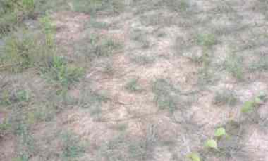 Dijual Cepat TANAH, Harga Cocok Langsung LEPAS, Kab. Sorong