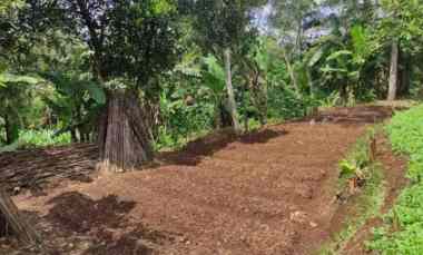 dijual tanah jl sindanglengo desa