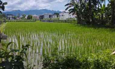 dijual tanah jl soekarno hatta sawitan