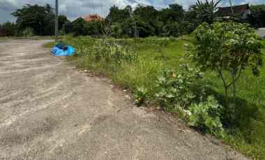 dijual tanah jl teruna jaya jalak putih