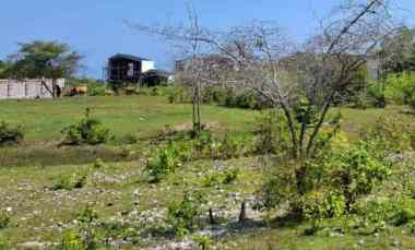 Dijual 50 are, jl. Tulip Kori Nuansa Ungasan Kuta Selatan