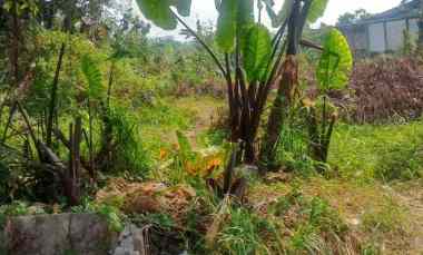 Kavling Luas hanya Setengah Harga NJOP Gunung Putri Kab. Bogor