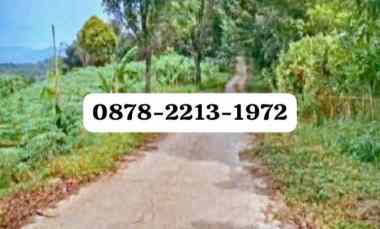Tanah Bagus untuk Agrowisata dekat ke Pemerintahan Bogor Timur