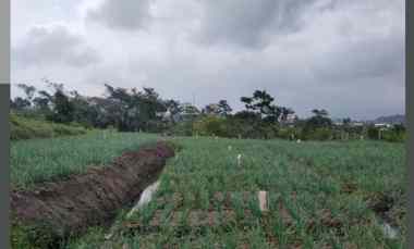 Tanah Sawah Subur Super Murah Luas Strategis di Junrejo Kota Batu