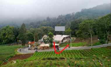 dijual tanah jurang kuali junggo