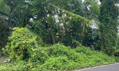 Dijual 9,9 are, jl. Veteran Raya Tumbak Bayuh Mengwi Badung