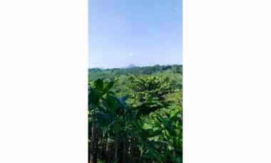 Dijual Tanah Luas 70 Hektar di Cariu, Kabupaten Bogor AG1930