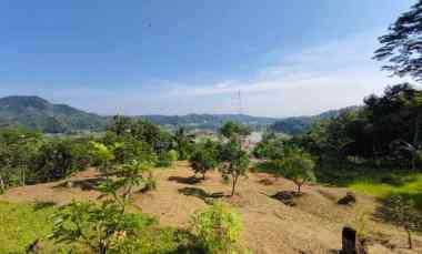 dijual tanah kampung cikaret desa