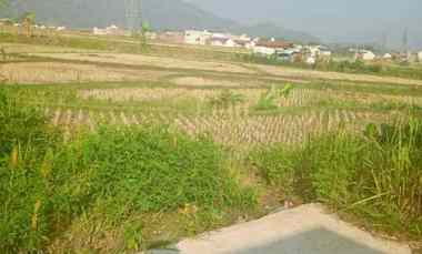 dijual tanah kampung tambakan