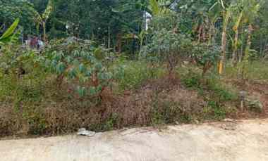dijual tanah kandri
