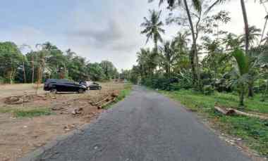dijual tanah kantongan merdikorejo
