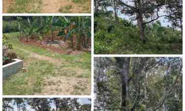 dijual tanah karanganyar