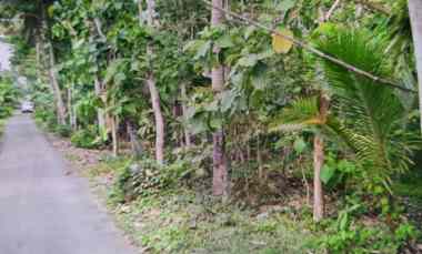 dijual tanah karangnongko