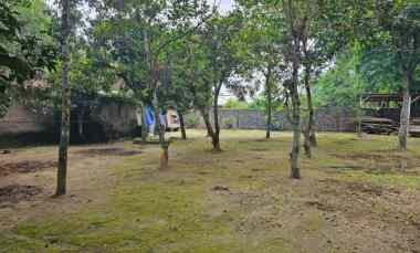 dijual tanah kasuran kelurahan