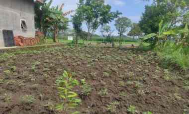 dijual tanah kavling di kec sedayu turen kab malang