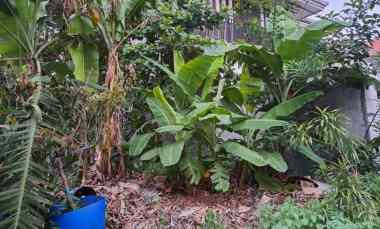 dijual tanah kavling kowilhan setu