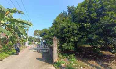 dijual tanah kayu manis tanah sareal bogor