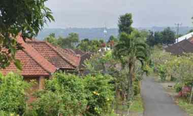 dijual tanah kayu putih buleleng bali