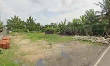 dijual tanah kebo iwa utara denpasar