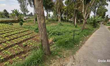 Tanah Murah Kebon Hui Cigugur Girang Parongpong Bandung Barat