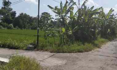 dijual tanah kebondalem madurejo