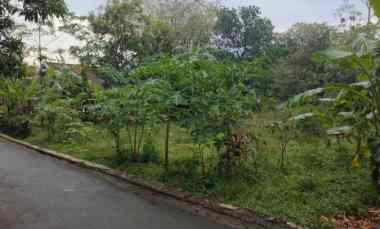 dijual tanah kebun akses jl mobil lingkungan penduduk