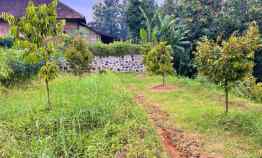 dijual tanah kebun buah karangpandan