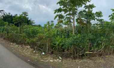 dijual tanah kebun dekat wisata situ bagendit garut