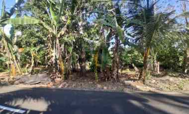 Dijual Tanah Kebun dengan View Sunset yang Indah